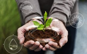 agricultura regenerativa