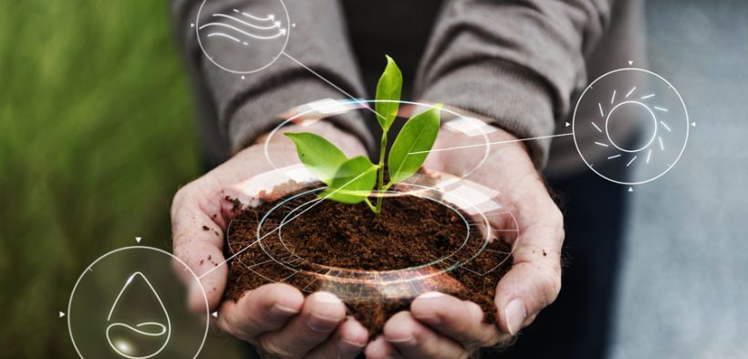 agricultura regenerativa